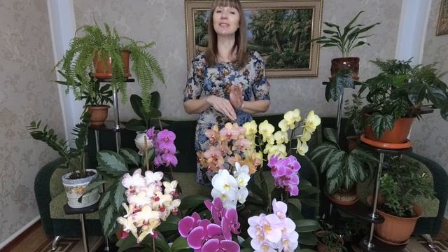 Канал для цветоводов и садоводов ''Цветочное счастье'' смотреть онлайн