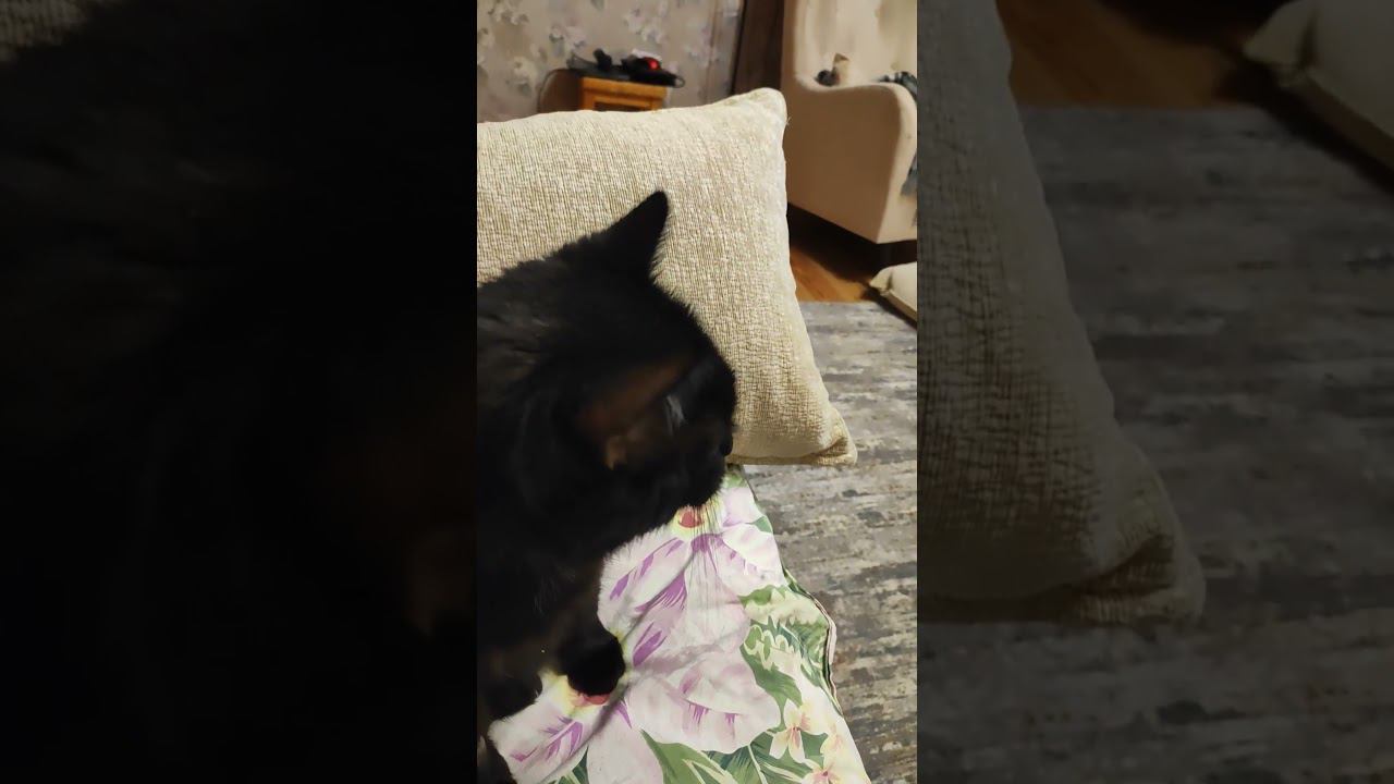 11 ноября 2023 г. смотреть онлайн