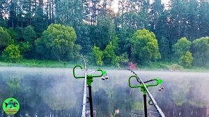 ОТ ЭТОЙ РЫБАЛКИ НОГИ ТРЯСУТСЯ. ДИКИЕ речные РЫБИНЫ ВЫШЛИ ИЗ ЯМЫ.