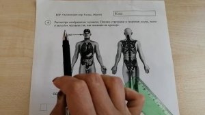 Подготовка к Всероссийской проверочной работе. ВПР. Окружающий мир, 4 класс. Задание 4.