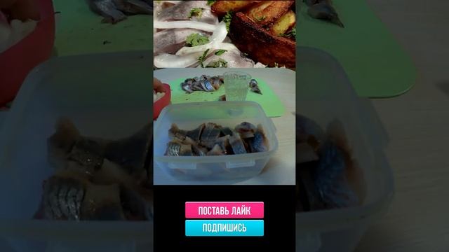 Автомобильные Приключения