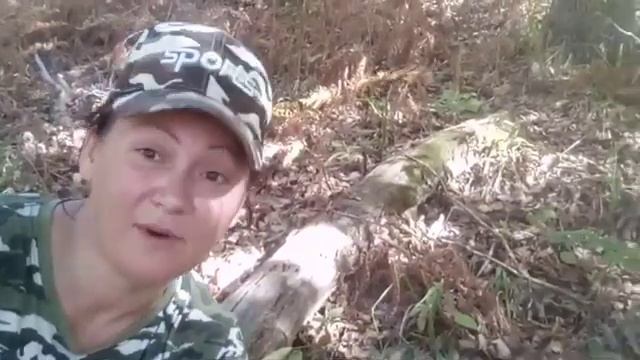 Где грибы на Чёрном море. Когда собирать грибы. смотреть онлайн