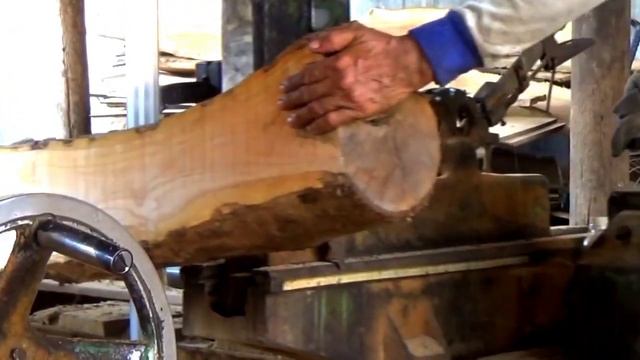 Sawing And Cutting Incredible Giant Logs || Sawmill #1