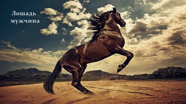 Восточный гороскоп - Лошадь смотреть онлайн