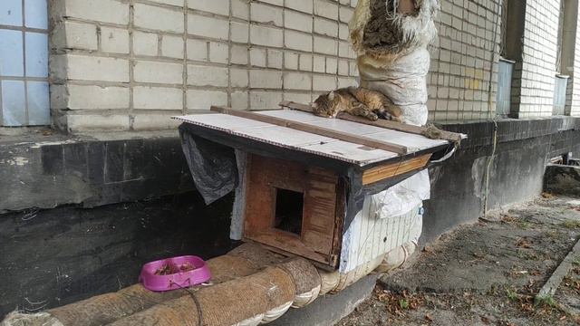 Чтоб я так жил... смотреть онлайн