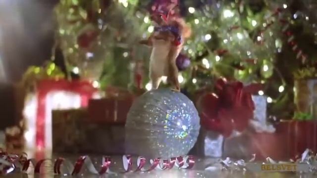 Кто правильно  отмечает Новый  Год ?