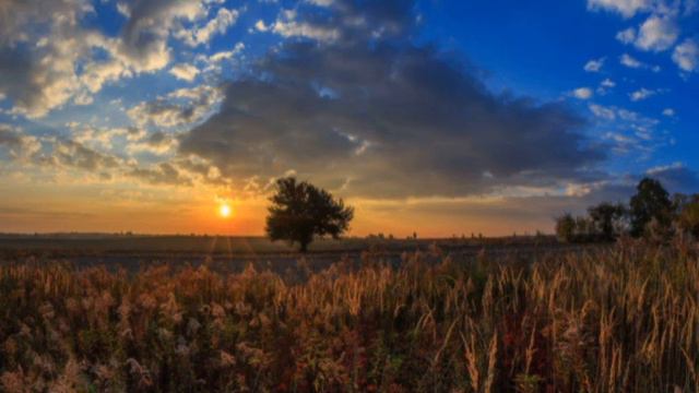 Михайло Гришко - "Из-за гаю сонце сходить" (Шевченко) - Ukrainian song M. Hryshko смотреть онлайн