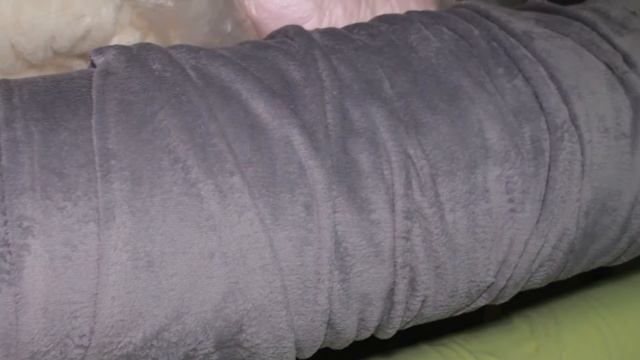 Модельер Для Собак(Часть Первая). Все О Домашних Животных смотреть онлайн