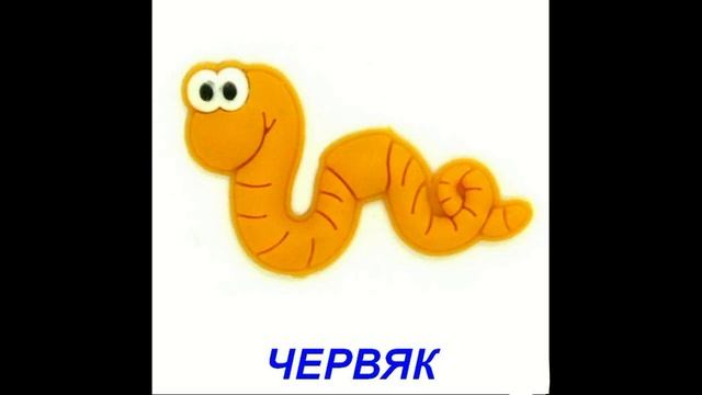 Видео для малышей - Насекомые. Карточки Домана смотреть онлайн