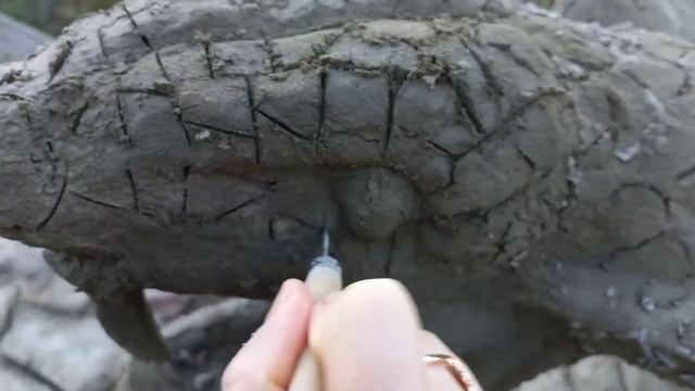 Бордюр змея из цемента своими руками.DIY cement snake border смотреть онлайн