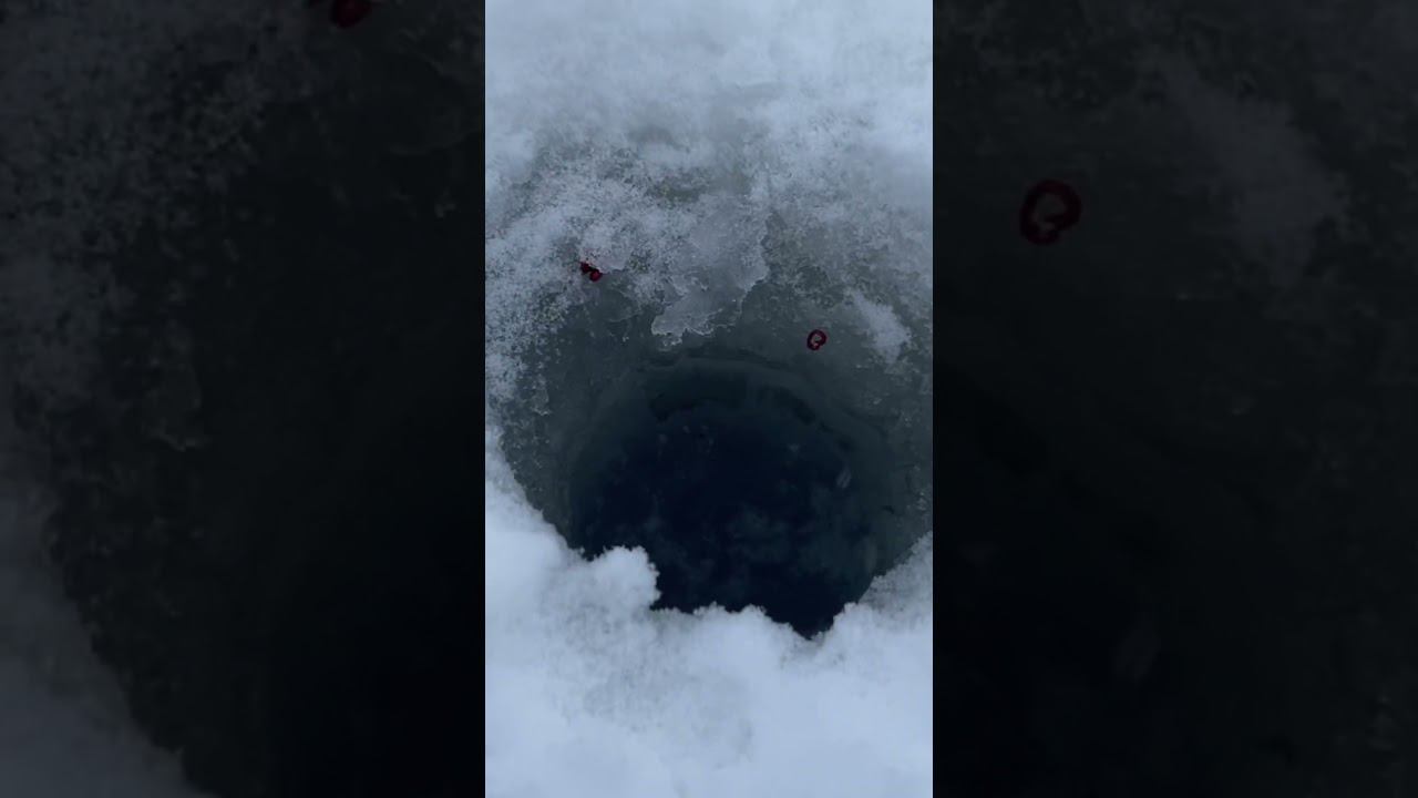 Просто отличная плотва #рыбалкакстово #первыйлёд #зимняяудочка #плотва смотреть онлайн