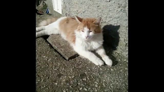 Tom Te Quiero😍😭