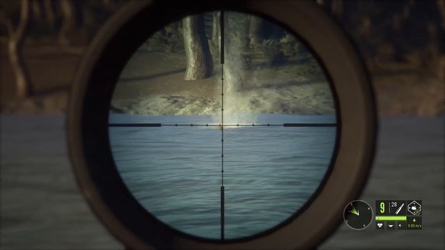 theHunter Call of The Wild How to Hunt Birds Cinnamon Teal смотреть онлайн