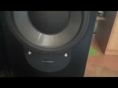 Paradigm Monitor 11v6