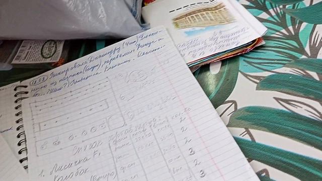 Замачиваю семена сладкого перца среднеспелых сортов.Всходы острого перца и ампельных томатов. смотреть онлайн