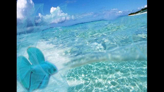 24 урок! 5 чакра. (33 урока Женственности) Медитация для Пятой чакры. смотреть онлайн