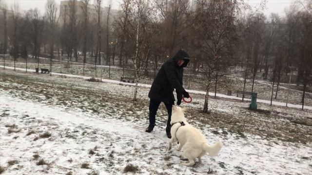 Первые морозы ❄️ смотреть онлайн