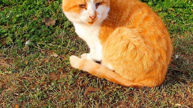 ночная рыбалка. август 2021 смотреть онлайн