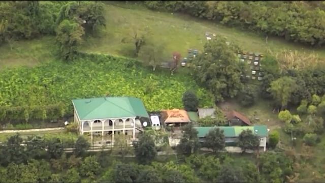 Компас (№ 5)