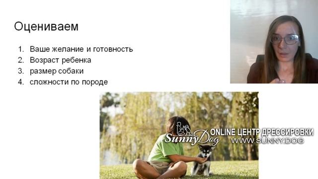 Ребенок хочет собаку и принес с улицы щенка. Как поступить? оставить или нет смотреть онлайн