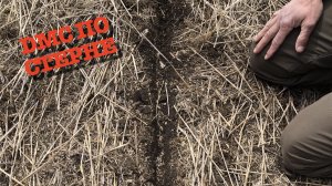 Сеялка Amazone DMC посев по стерне пшеницы