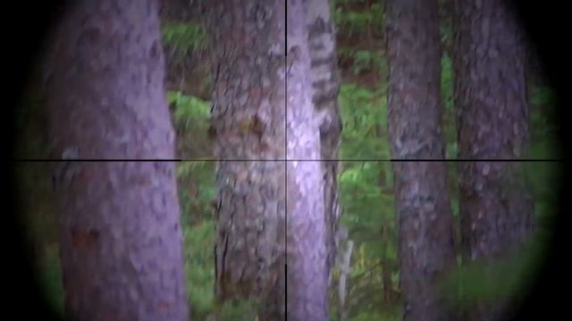 Sniper Airsoft Gameplay # 7, SPB "DOMINO" смотреть онлайн