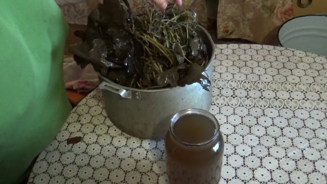 Отвар из трав для голубей! смотреть онлайн