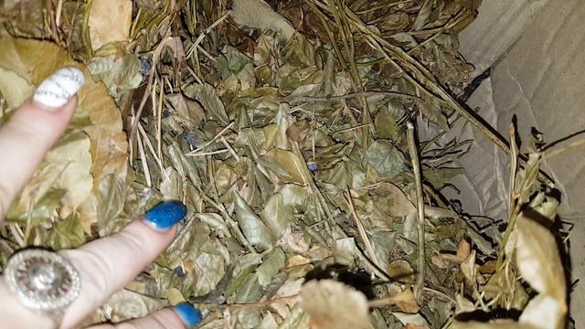Распаковываем посылку с Подарками)))Часть 1 смотреть онлайн