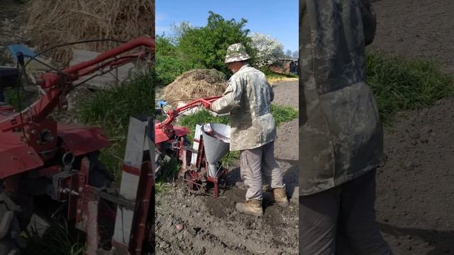 Садим картоплю картопелосажалкою з пониженим редуктором ? . смотреть онлайн