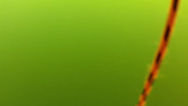 Налим, часть 2 смотреть онлайн