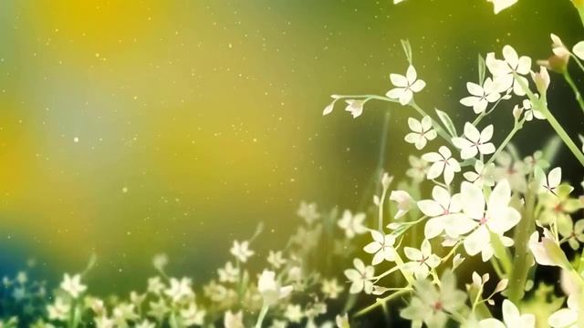 Социальная Сеть Park Avenue 2 смотреть онлайн