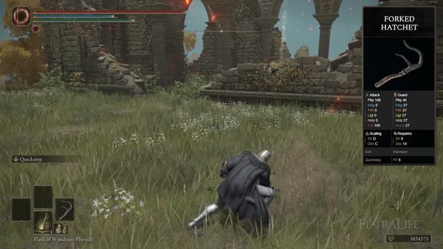 Axes are the Best Weapon in Elden Ring - Elden Ring All Axes Breakdown смотреть онлайн