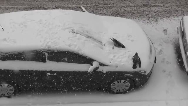 А учили меня летать смотреть онлайн