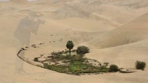 Вадим Мулерман – Про верблюда