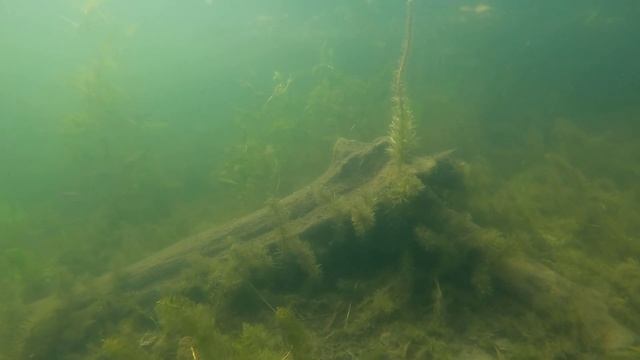 Озеро чёрное в Очёрском районе смотреть онлайн