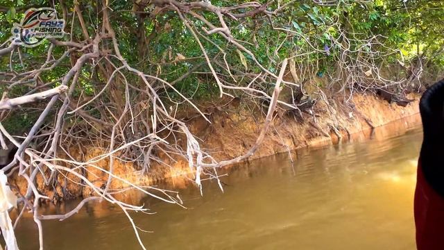 MISI MULIA : PENYELAMATAN IKAN IKAN KECIL YANG DISERANG PREDATOR GANAS ....