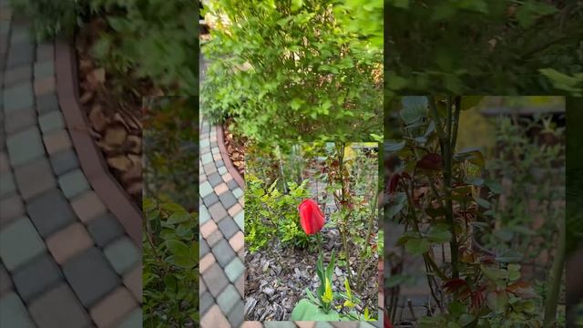 ЕЙСК. Лето в нашем домике на Азовском море смотреть онлайн