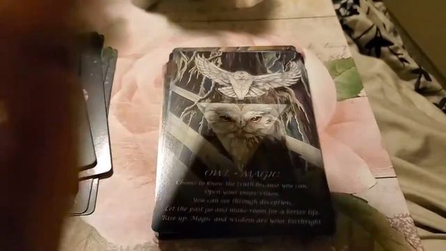 ? Spirit Of The Animals Oracle | Flip Through смотреть онлайн