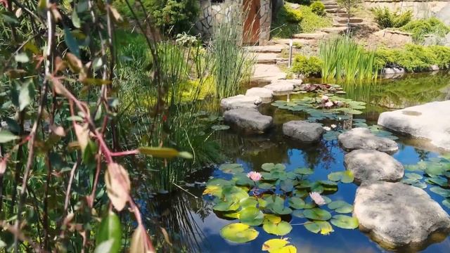 Ландшафтный дизайн?Красивые растения для сада? смотреть онлайн