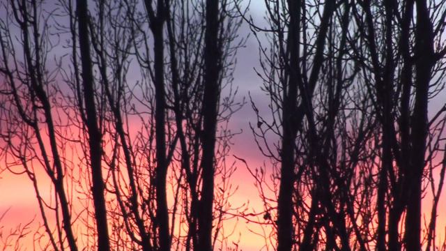 IL-76 Off-airport смотреть онлайн