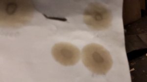 Капельные тесты моторного масла