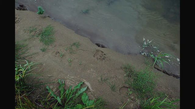 Поход смотреть онлайн