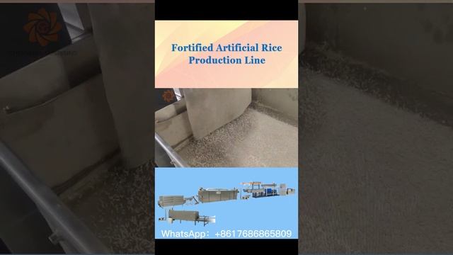 Double Screw Extruder Fortified Artificial Rice Making Machine | Chenyang смотреть онлайн