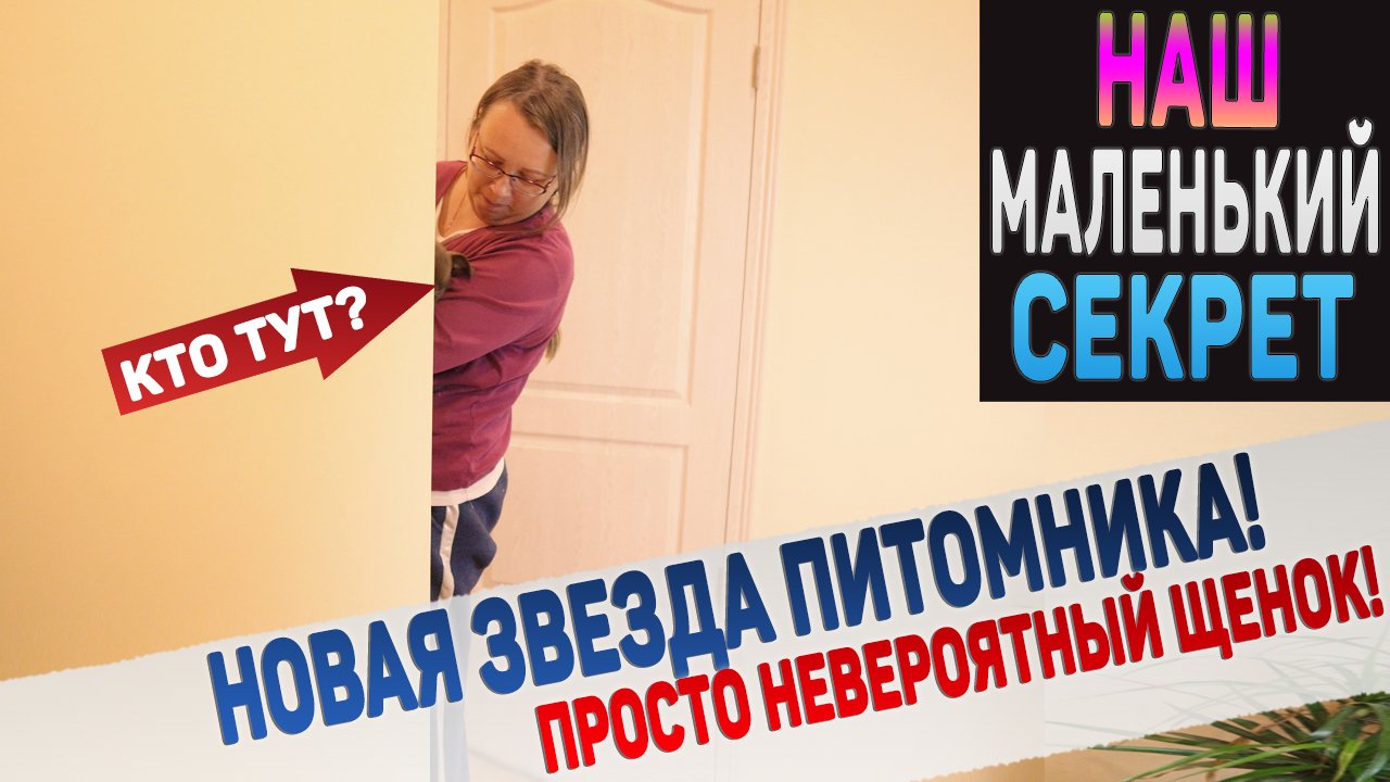 Кто к нам приехал? Такого щенка вы еще не видели! 100% ТОП! смотреть онлайн