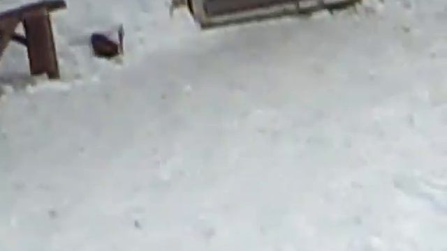 Мои голуби. фильм 1. Наша погода. 27.01.2018 г. будет фильм 2, 3 смотреть онлайн