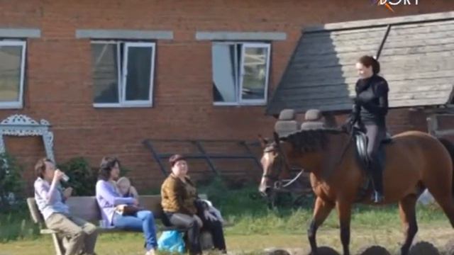 10 - летию учреждения посвящается. Первенство по конному спорту смотреть онлайн