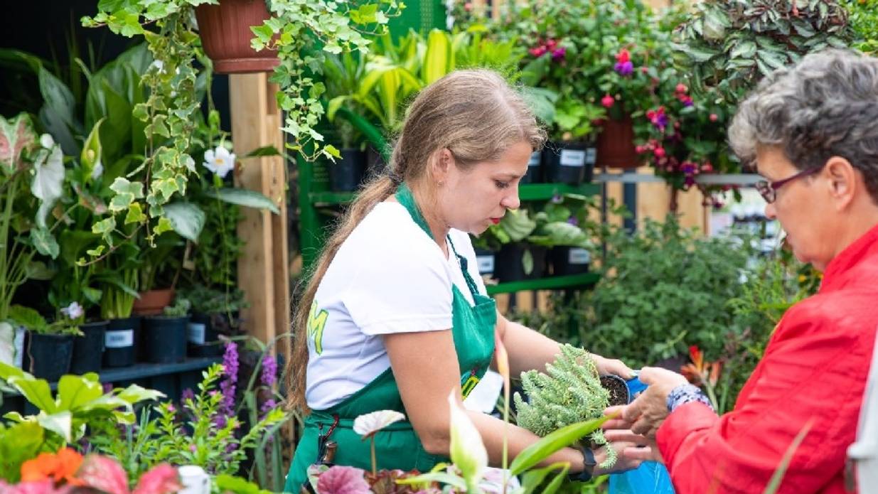 Выставка цветов на ВДНХ смотреть онлайн