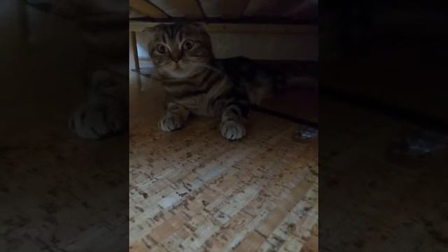 Что было раньше? смотреть онлайн