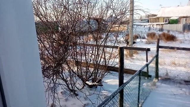 Сосед на буране смотреть онлайн