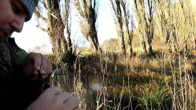 Ноябрьский окушок смотреть онлайн